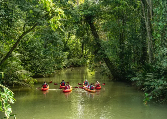 Tortuguero kayaking