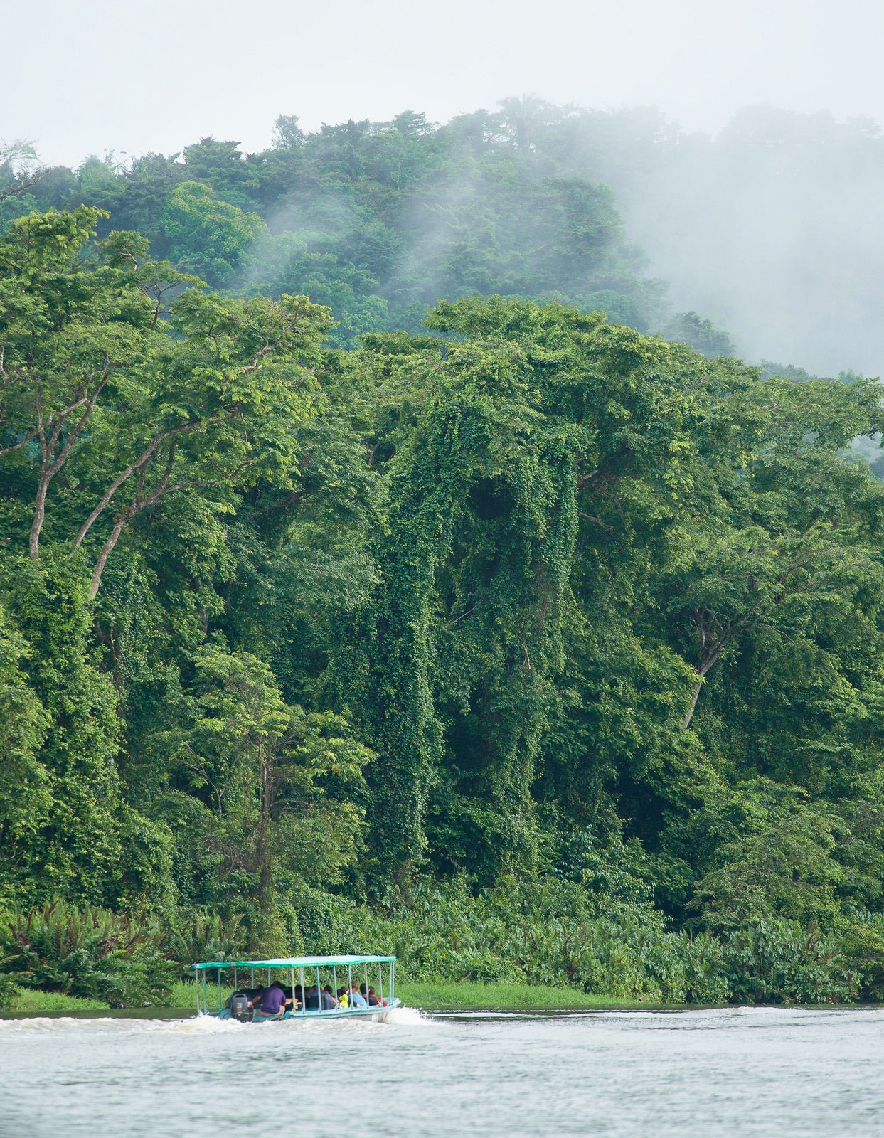Costa Rica honeymoon Tortuguero