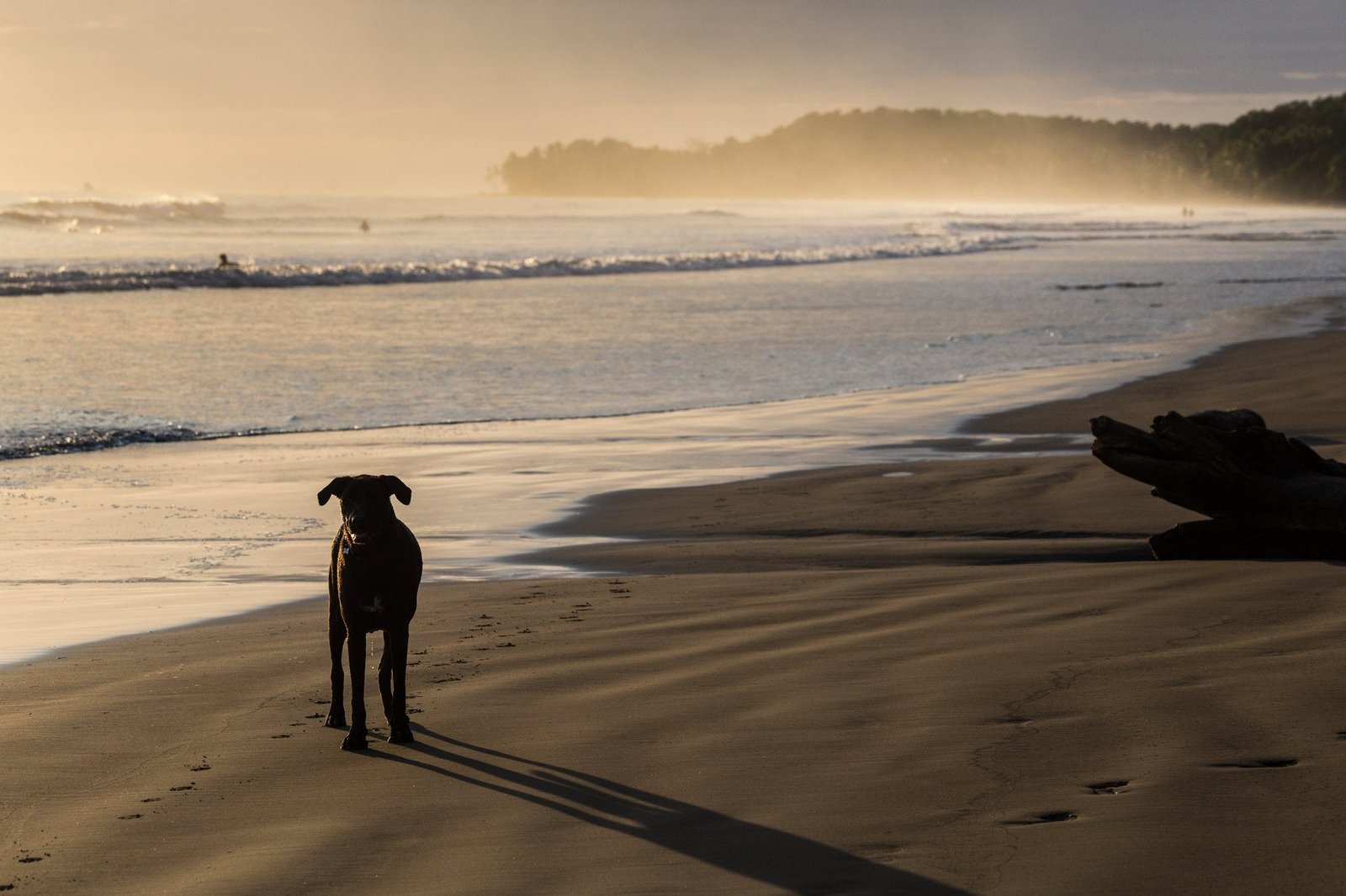 Costa Rica honeymoon Uvita